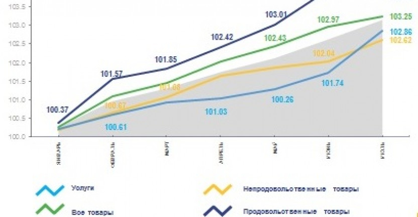 Индекс потребительских цен по Хабаровскому краю в июле 2021 года